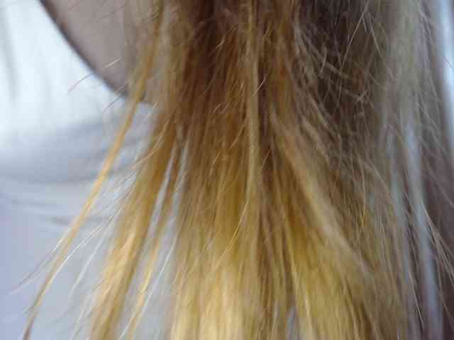 BeautyD