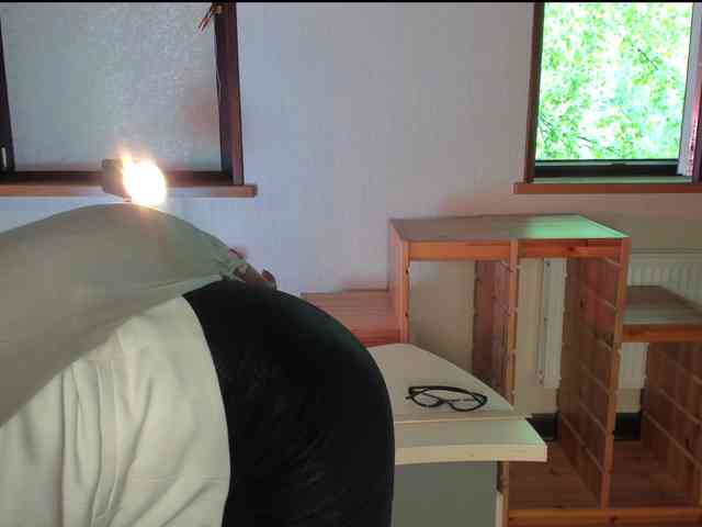 Rock_Cat webcam