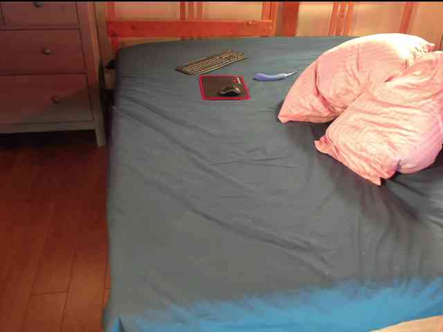 Rock_Cat webcam