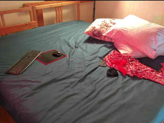 Rock_Cat webcam