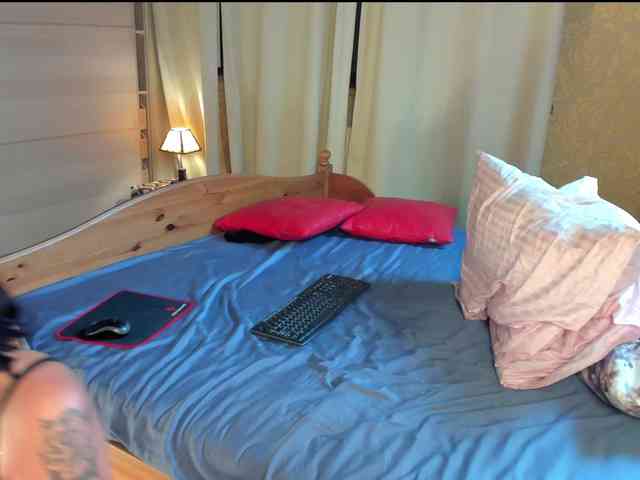 Rock_Cat webcam