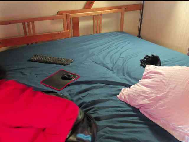 Rock_Cat webcam