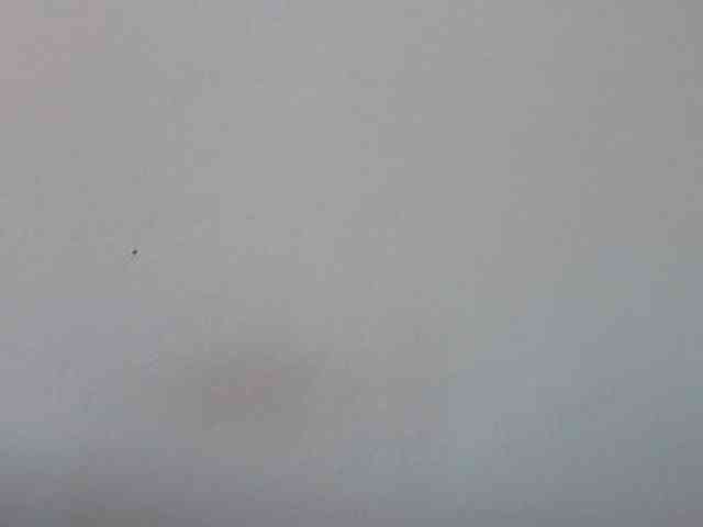 mybigass15 webcam