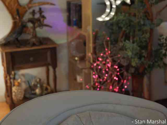 _Lady_M_ webcam