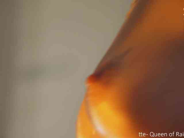 _Lady_M_ webcam