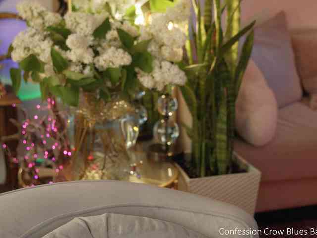 _Lady_M_ webcam