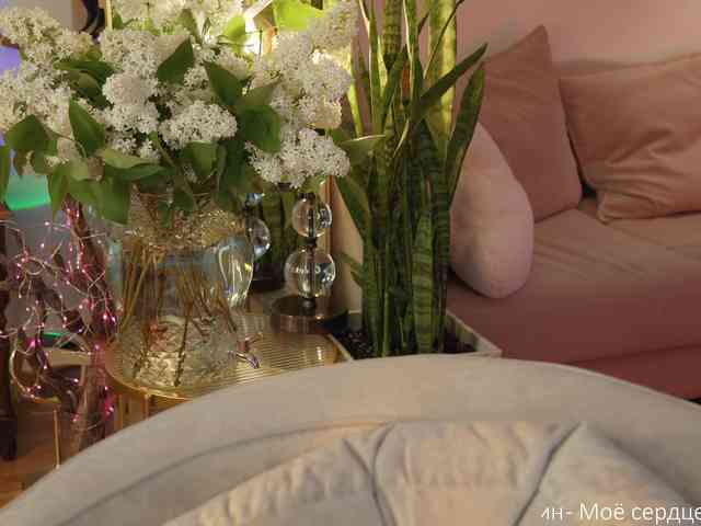 _Lady_M_ webcam