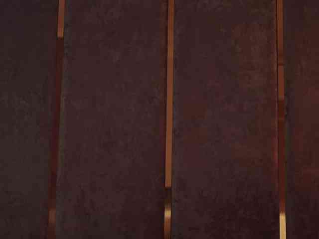 ButterflySoul webcam