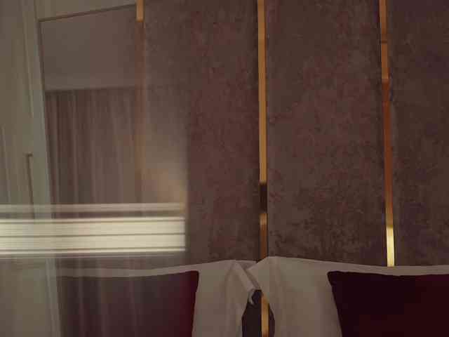 ButterflySoul webcam