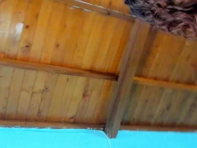 shadiaorozco
