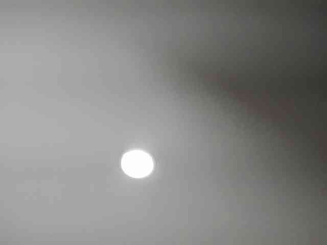 Ladyxmilf webcam