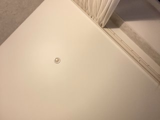 Dikiy_Angel Porn Show