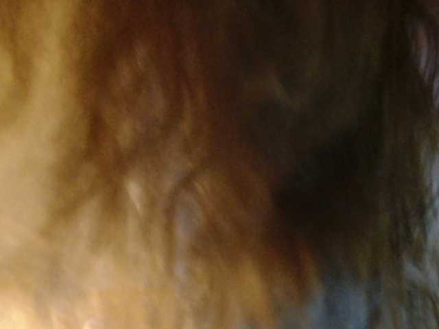 Dikiy_Angel