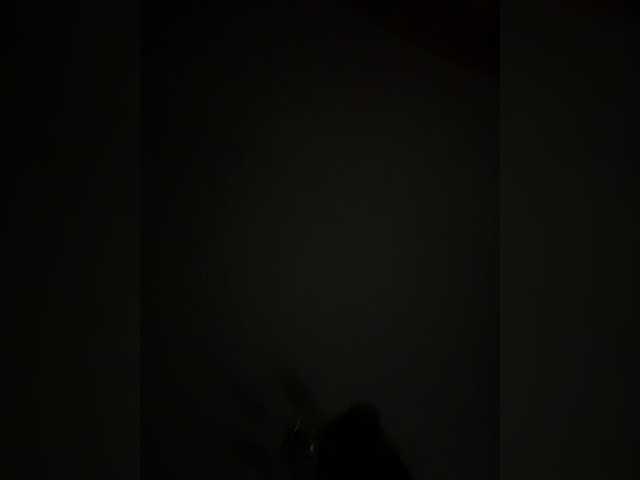Dikiy_Angel
