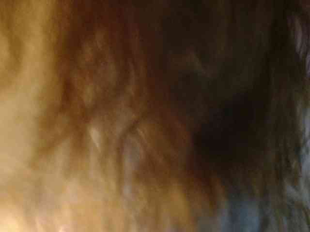 Dikiy_Angel
