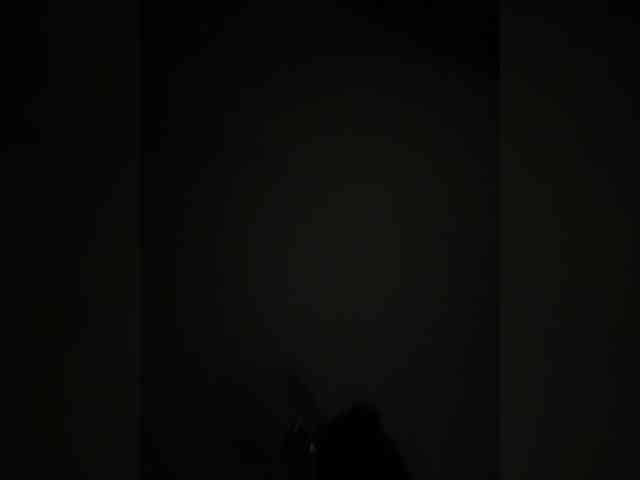 Dikiy_Angel