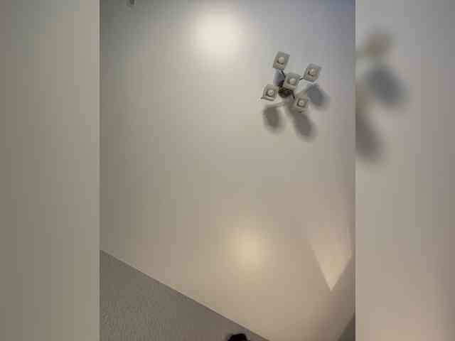 Dikiy_Angel webcam