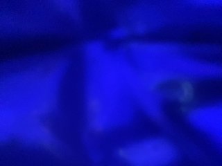 TheDime Porn Show