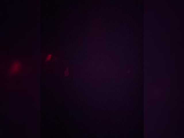 TheDime live cam preview