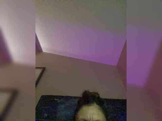 TheDime webcam