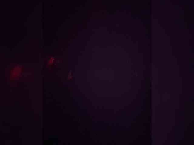 TheDime webcam