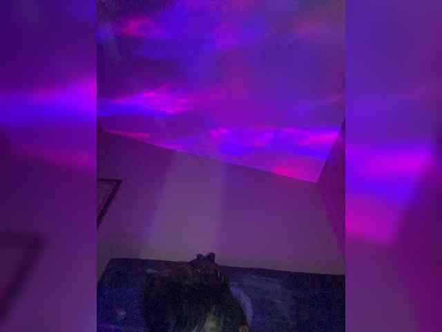 TheDime webcam