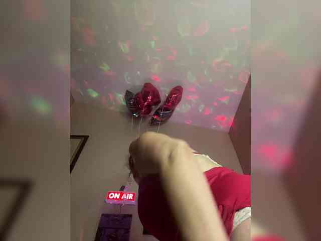 TheDime webcam