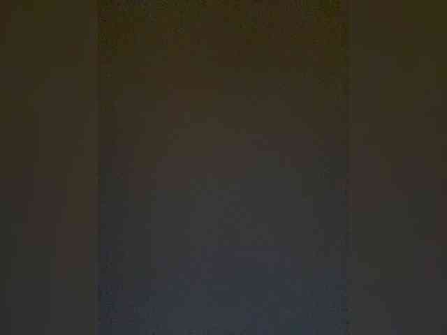 TheDime webcam