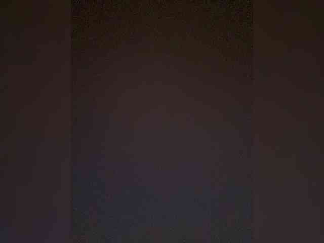TheDime webcam