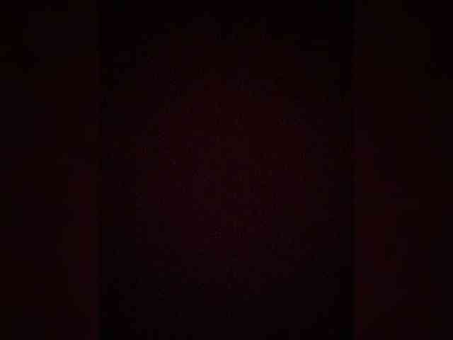 TheDime webcam