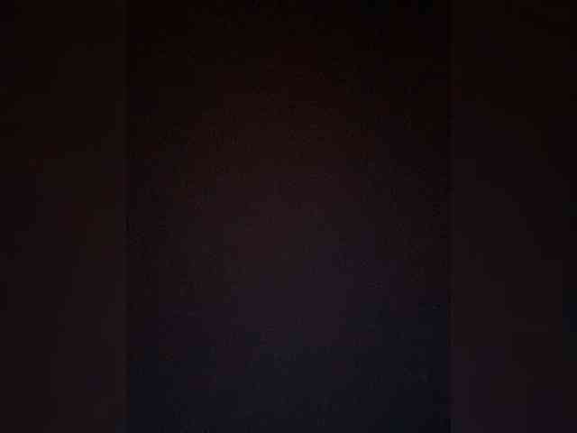 TheDime webcam