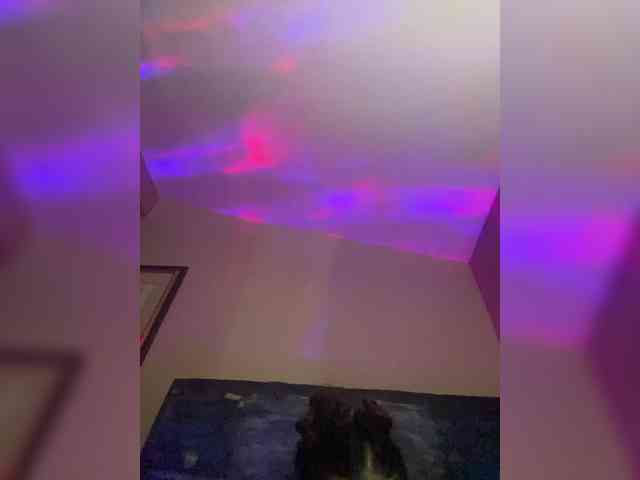 TheDime webcam