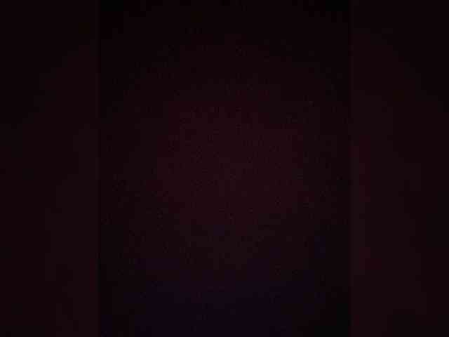 TheDime webcam