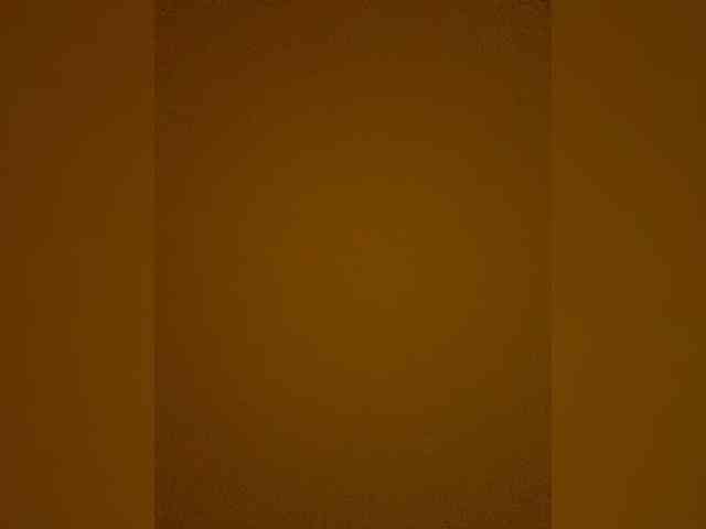 TheDime webcam