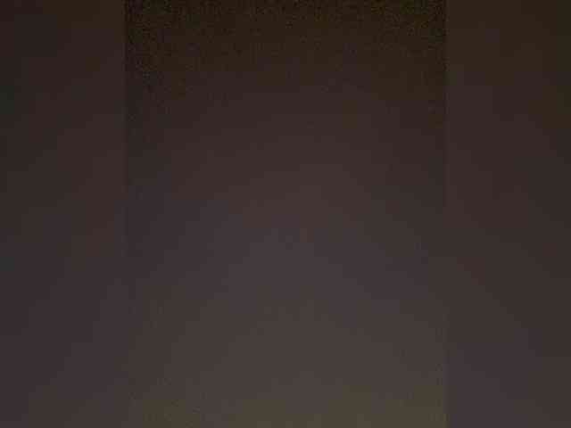 TheDime webcam