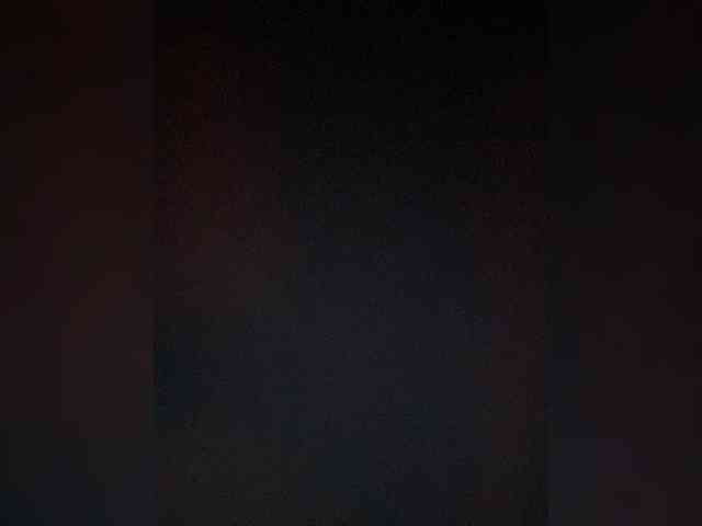 TheDime webcam