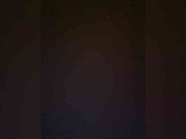 TheDime webcam