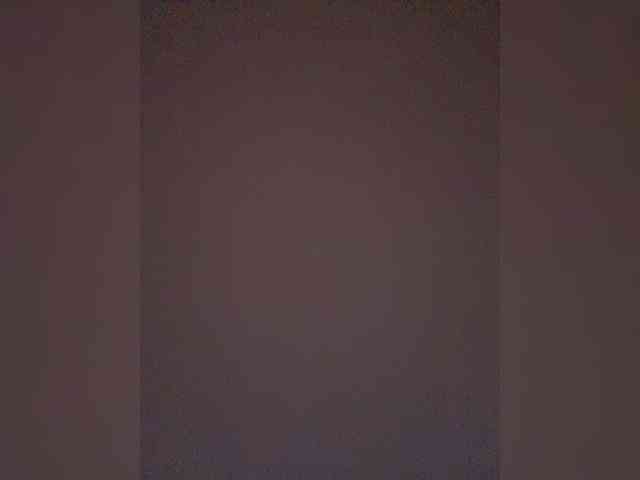 TheDime webcam