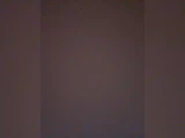 TheDime