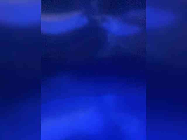 TheDime webcam