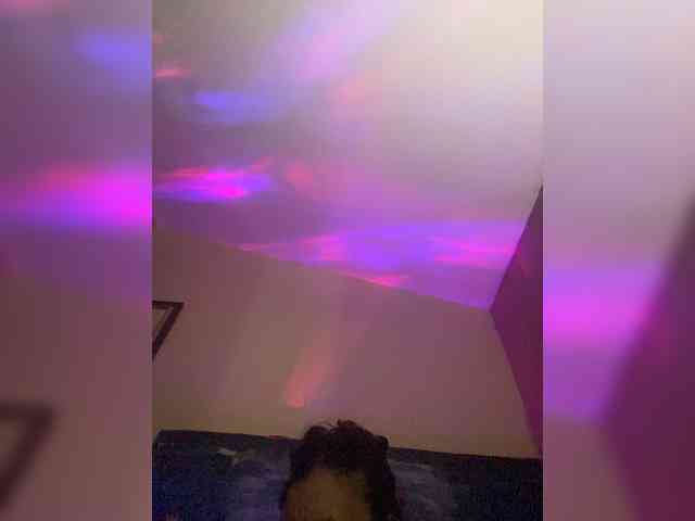 TheDime webcam