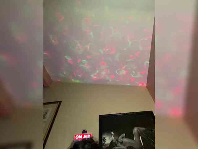 TheDime webcam