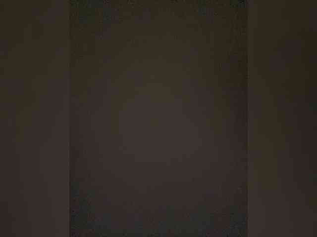 TheDime webcam