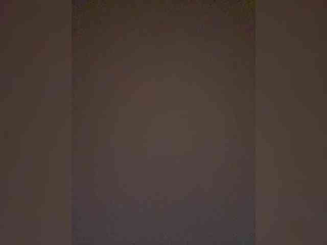 TheDime webcam