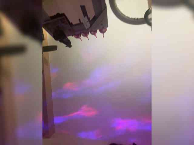 TheDime webcam