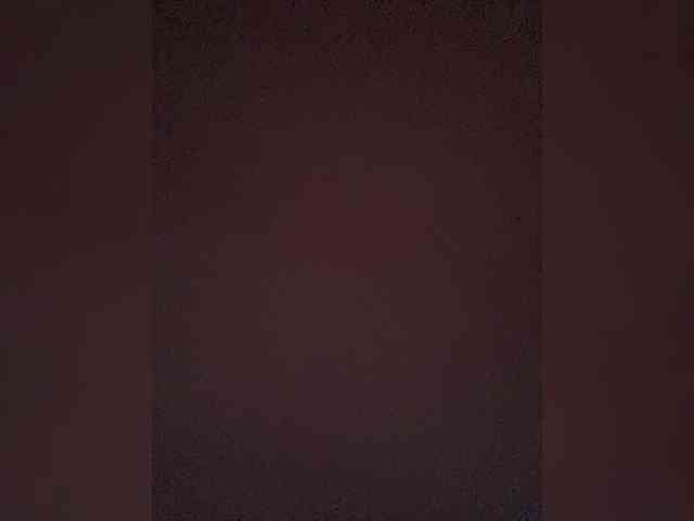 TheDime webcam