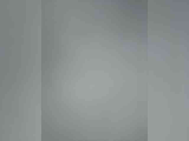 TheDime webcam