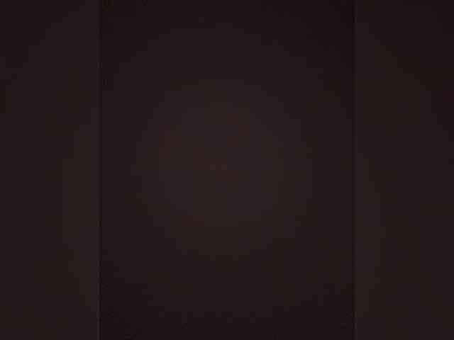 TheDime webcam