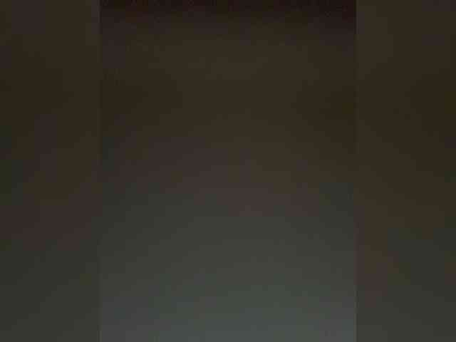 TheDime webcam