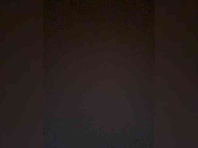 TheDime webcam